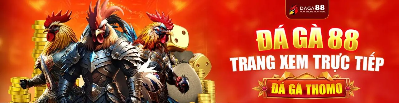 Sân đấu đá gà trực tuyến dr88 login